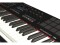 Bild 1 Nektar Keyboard Controller Panorama P6, Tastatur Keys: 61