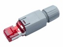 R&M Stecker RJ45 Cat. 6A Feldkonfektion, Kabelschirmung: UTP