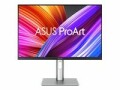 Asus Monitor ProArt PA248CRV, Bildschirmdiagonale: 24.1 "