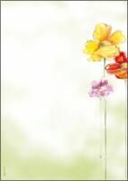 SIGEL     SIGEL Motiv-Papier A4 DP123 Spring Flowers 90g,50 Blatt