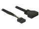 Image 0 DeLock DeLOCK - Interner USB-Adapter - 9-poliger