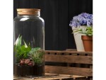 Esschert Design Terrarium-Flasche L, 18.5 x 41.3 cm, Durchmesser: 18.5