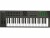 Bild 0 Nektar Keyboard Controller Impact LX49+, Tastatur Keys: 49