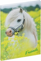 PAGNA     PAGNA Freundebuch 20346-15 kleines Pony 60S, Kein