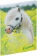 PAGNA     Freundebuch - 20346-15  kleines Pony 60S