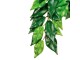 Exo Terra Regenwaldpflanze Fikus, M, Produkttyp Terraristik