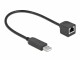 Image 1 DeLock Anschlusskabel USB-A zu RS-232 RJ45, 25 cm