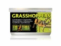 Exo Terra Dosenfutter Grasshoppers, 34 g, Reptilienart: Agamen