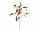Leonardo Kunstpflanze Autentico Eukalyptus 70 cm, Produkttyp