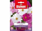 Blumen Saatgut Cosmea Sensazione Mix, Bio: Nein, Blütenfarbe