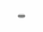 Apple - Lightning adapter - 24 pin USB-C male