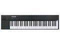 Alesis Keyboard Controller VI61, Tastatur Keys: 61, Gewichtung
