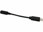 BrightSign USB C to 3.5 mm Audio, Produkttyp: Adapter
