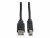 Bild 1 ROTRONIC Roline - USB-Kabel - USB (M) zu USB Typ B (M) - USB 2.0 - 1.8 m