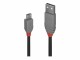 LINDY Anthra Line - USB-Kabel - USB (M) bis