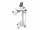 Ergotron StyleView - Cart with LCD Pivot, LiFe Powered