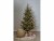Image 4 Star Trading Weihnachtsbaum Uppsala 210 x 110 cm, Höhe: 210