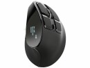 Trust Computer TRUST Voxx Wireless Mouse 23731