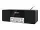 TechniSat DigitRadio 3 Schwarz-Silber, Radio Tuner: FM, DAB+