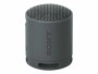 Sony Bluetooth Speaker SRS-XB100 Schwarz