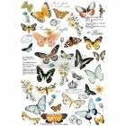 Redesign Decor Transferfolie - Butterfly Dance