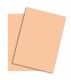 PAPYRUS   Rainbow Papier FSC          A4 - 88043133  160g, lachs          250 Blatt