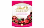Lindt Schokolade Sensation Fruit Dunkel Himbeere & Cranberry