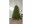 Image 1 Star Trading Weihnachtsbaum Narvik, 2.1 m, Grün, 300 LED, Höhe