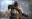Bild 2 PlayStation Hits: God of War [PS4] (D/F/I)