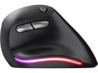 Trust Computer Trust Bayo - Vertical mouse - ergonomic - right-handed