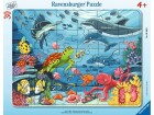 Ravensburger Kleinkinder Puzzle Unten im Meer, Motiv: Tiere