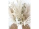 Soli Collection Trockenblumen Gyps 55 cm, Naturfarben, Produkttyp