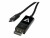 Bild 2 V7 Videoseven V7 - DisplayPort-Kabel - USB-C (M) zu DisplayPort (M
