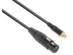 PD Connex CX138 XLR 3 Pole, female - Cinch 0.15