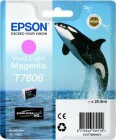 Epson Tinte - C13T76064010 vivid Light Magenta