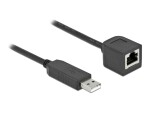 DeLock Anschlusskabel USB-A zu RS-232 RJ45, 2 m, Datenanschluss