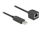 Image 0 DeLock Anschlusskabel USB-A zu RS-232 RJ45, 2 m, Datenanschluss