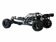 Amewi Buggy Pitbull X Evolution 2WD RTR, 1:5, Fahrzeugtyp