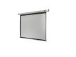 Celexon Motorleinwand Eco 220x165cm 4:3, Leinwandtyp