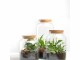 Esschert Design Terrarium-Flasche S, 18.5 x 26.3 cm, Durchmesser: 18.5