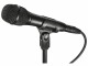 Audio-Technica AT2010 Typ: