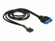 Immagine 3 DeLock DeLOCK - Internes USB-Kabel - 19-polige