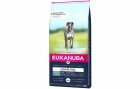 Eukanuba Trockenfutter Getreidefrei Adult L/XL Seefisch, 12 kg