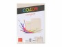 ELCO Doppelkarte mit Couvert Color A6/C6 Chamois, 20 Stück