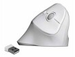 DeLock Ergonomische Maus 12596 USB