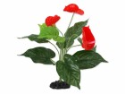 Repti Planet Anthurium, 40 cm, Produkttyp Terraristik: Künstliche