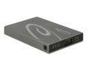 DeLock Externes Gehäuse 42590 2x mSATA mit RAID