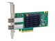 Lenovo ThinkSystem Emulex LPe36002 - Hostbus-Adapter - PCIe 4.0