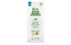 Brit Trockenfutter Care Adult LB Grain Free Lachs, 12