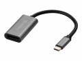 Sandberg USB-C to DisplayPort Link - Externer Videoadapter